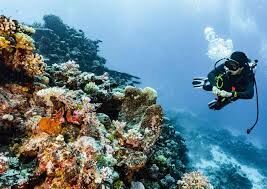 Discovering the World's Most Underrated Scuba Diving Destinations